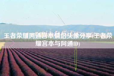 王者荣耀阿通宫本情侣头像分享(王者荣耀宫本与阿通ID)