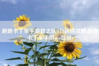 跑跑卡丁车手游胜之队GT3获得攻略(跑跑卡丁车手游pro驾照)