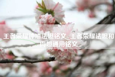 王者荣耀钟馗法坦铭文_王者荣耀法坦和肉坦通用铭文