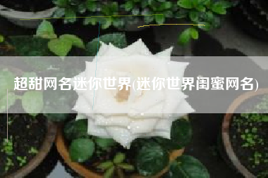 超甜网名迷你世界(迷你世界闺蜜网名)
