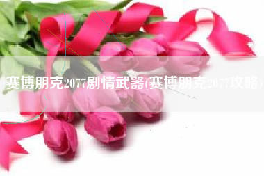 赛博朋克2077剧情武器(赛博朋克2077攻略)