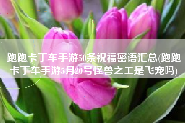 跑跑卡丁车手游50条祝福密语汇总(跑跑卡丁车手游5月20号怪兽之王是飞宠吗)