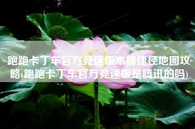 跑跑卡丁车官方竞速版木桶捷径地图攻略(跑跑卡丁车官方竞速版是腾讯的吗)