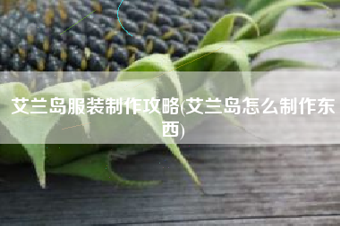 艾兰岛服装制作攻略(艾兰岛怎么制作东西)