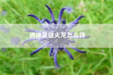 通神英雄火龙怎么得