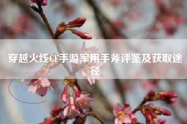 穿越火线CF手游军用手斧评鉴及获取途径