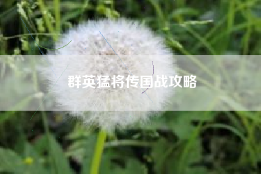 群英猛将传国战攻略