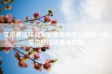 艾尔登法环战灰野蛮咆哮怎么获得一览(艾尔登法环最强战灰)