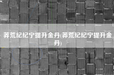 莽荒纪纪宁提升金丹(莽荒纪纪宁提升金丹)