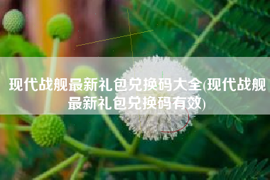 现代战舰最新礼包兑换码大全(现代战舰最新礼包兑换码有效)