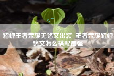 貂蝉王者荣耀无铭文出装_王者荣耀貂蝉铭文怎么搭配最强