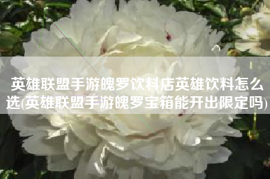 英雄联盟手游魄罗饮料店英雄饮料怎么选(英雄联盟手游魄罗宝箱能开出限定吗)
