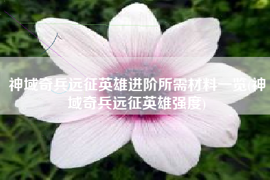 神域奇兵远征英雄进阶所需材料一览(神域奇兵远征英雄强度)