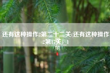 还有这种操作2第二十二关(还有这种操作2第17关)_1