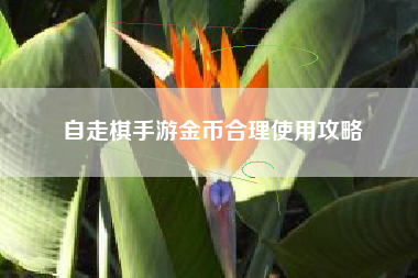 自走棋手游金币合理使用攻略