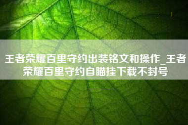 王者荣耀百里守约出装铭文和操作_王者荣耀百里守约自瞄挂下载不封号