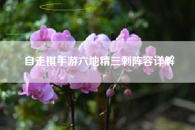自走棋手游六地精三刺阵容详解
