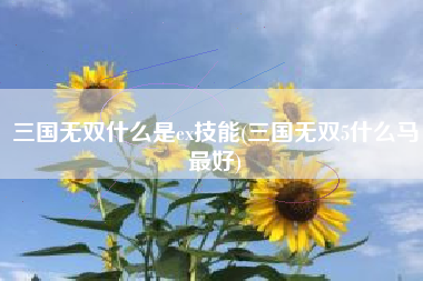 三国无双什么是ex技能(三国无双5什么马最好)