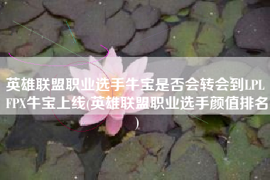 英雄联盟职业选手牛宝是否会转会到LPL FPX牛宝上线(英雄联盟职业选手颜值排名)