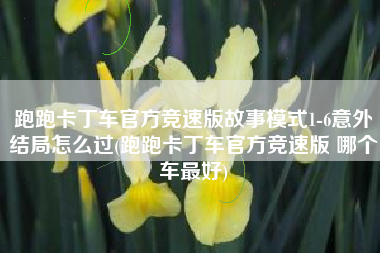 跑跑卡丁车官方竞速版故事模式1-6意外结局怎么过(跑跑卡丁车官方竞速版 哪个车最好)