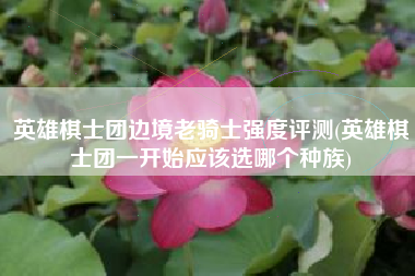 英雄棋士团边境老骑士强度评测(英雄棋士团一开始应该选哪个种族)