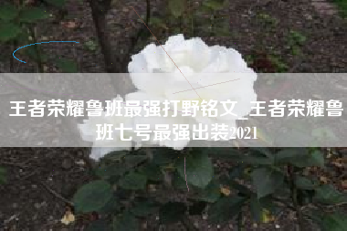 王者荣耀鲁班最强打野铭文_王者荣耀鲁班七号最强出装2021