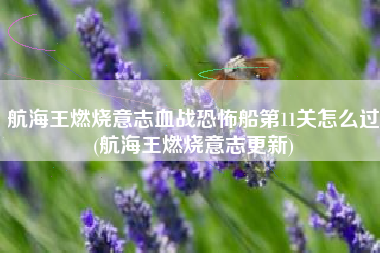 航海王燃烧意志血战恐怖船第11关怎么过(航海王燃烧意志更新)