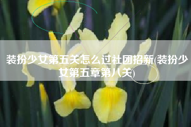 装扮少女第五关怎么过社团招新(装扮少女第五章第八关)