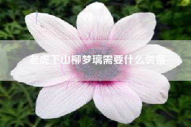 老虎下山柳梦璃需要什么装备