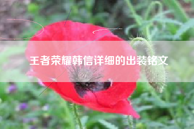 王者荣耀韩信详细的出装铭文