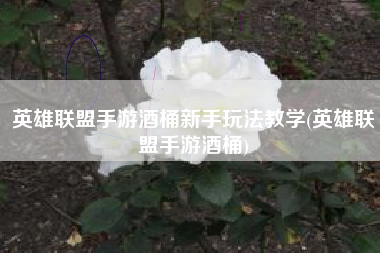 英雄联盟手游酒桶新手玩法教学(英雄联盟手游酒桶)