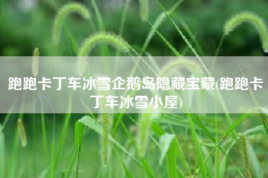 跑跑卡丁车冰雪企鹅岛隐藏宝藏(跑跑卡丁车冰雪小屋)
