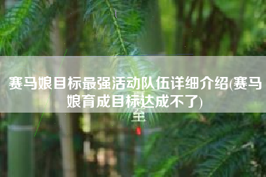赛马娘目标最强活动队伍详细介绍(赛马娘育成目标达成不了)