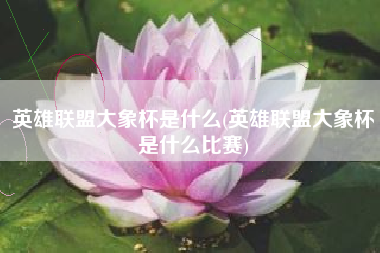 英雄联盟大象杯是什么(英雄联盟大象杯是什么比赛)