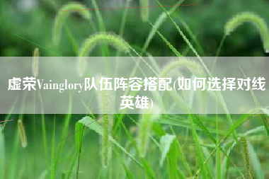 虚荣Vainglory队伍阵容搭配(如何选择对线英雄)