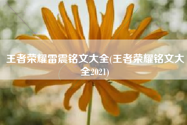 王者荣耀雷震铭文大全(王者荣耀铭文大全2021)