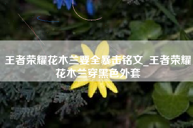 王者荣耀花木兰要全暴击铭文_王者荣耀花木兰穿黑色外套