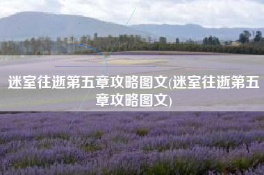 迷室往逝第五章攻略图文(迷室往逝第五章攻略图文)