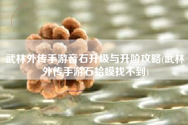 武林外传手游音石升级与升阶攻略(武林外传手游石蛤蟆找不到)