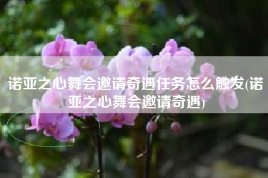 诺亚之心舞会邀请奇遇任务怎么触发(诺亚之心舞会邀请奇遇)