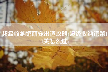 超级收纳馆萌宠出道攻略(超级收纳馆第11关怎么过)