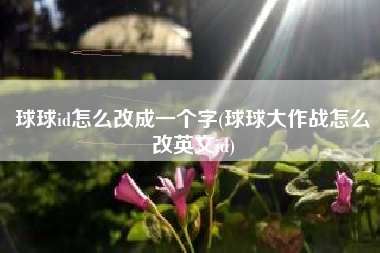 球球id怎么改成一个字(球球大作战怎么改英文id)