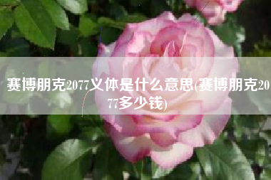 赛博朋克2077义体是什么意思(赛博朋克2077多少钱)