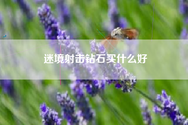 迷境射击钻石买什么好