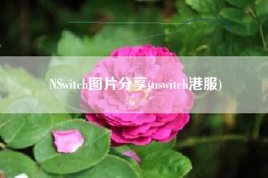 NSwitch图片分享(nswitch港服)