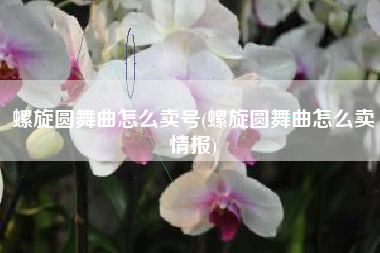 螺旋圆舞曲怎么卖号(螺旋圆舞曲怎么卖情报)