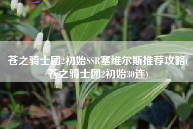 苍之骑士团2初始SSR塞维尔斯推荐攻略(苍之骑士团2初始30连)