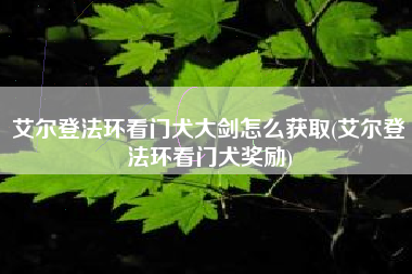 艾尔登法环看门犬大剑怎么获取(艾尔登法环看门犬奖励)