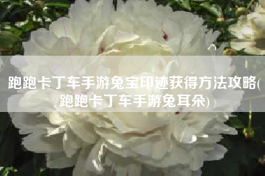 跑跑卡丁车手游兔宝印迹获得方法攻略(跑跑卡丁车手游兔耳朵)