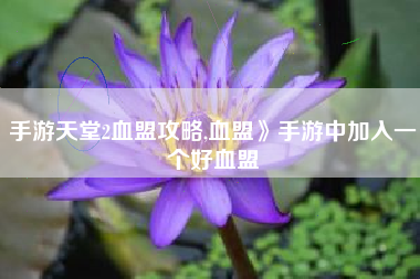 手游天堂2血盟攻略,血盟》手游中加入一个好血盟